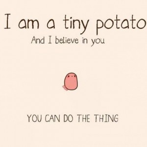 I am a tiny potato, and I believe in you. You can do the thing.