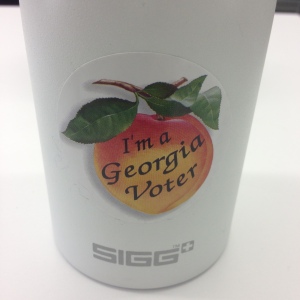 Georgia Voter 2014