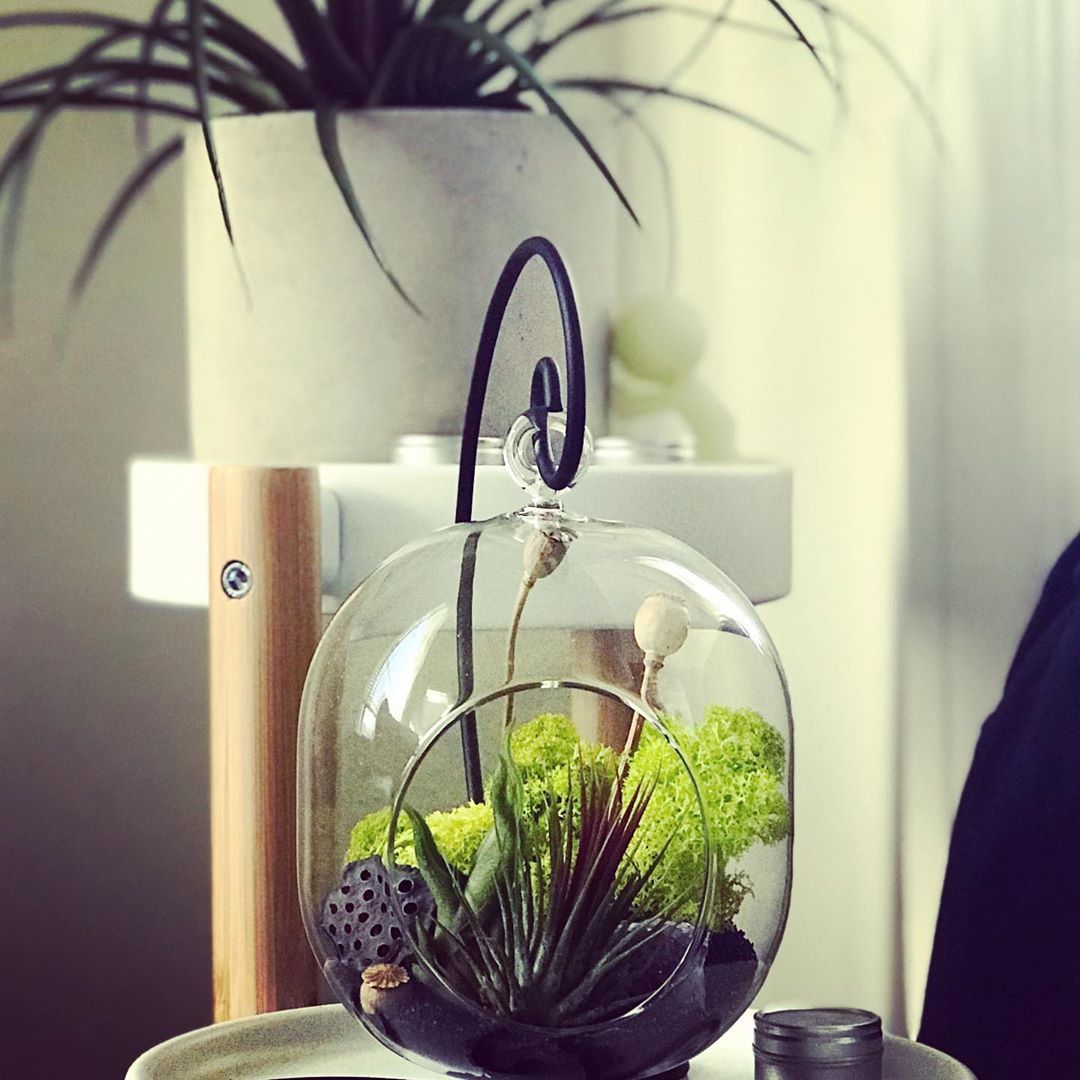 Terrarium